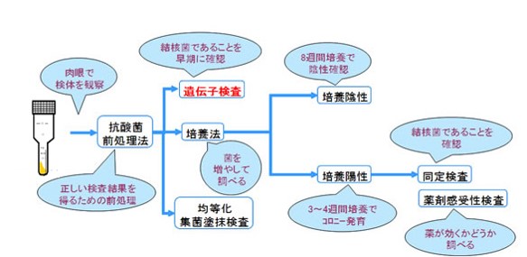 結核症の危険因子