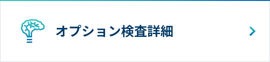 オプション検査